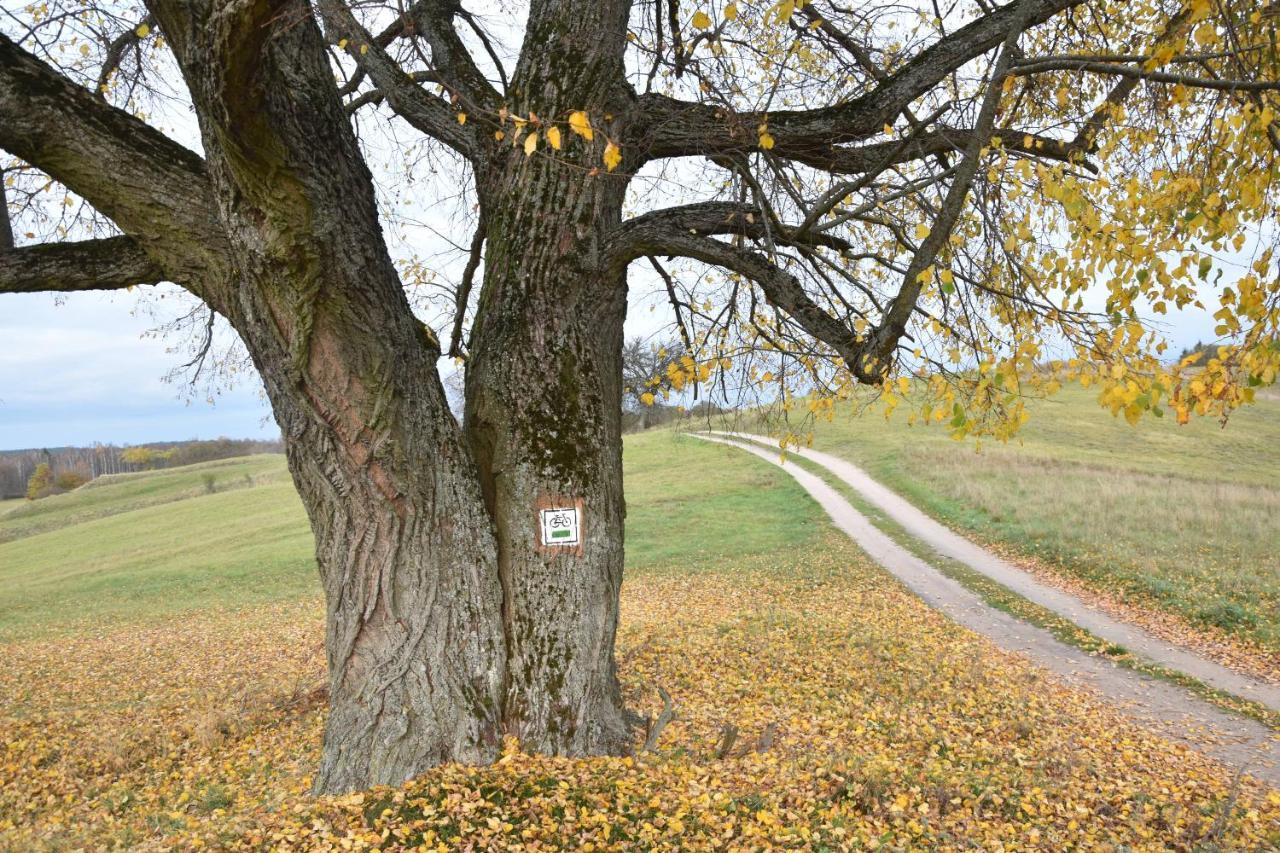 Wigierski Park Narodowy Suwałki Екстериор снимка