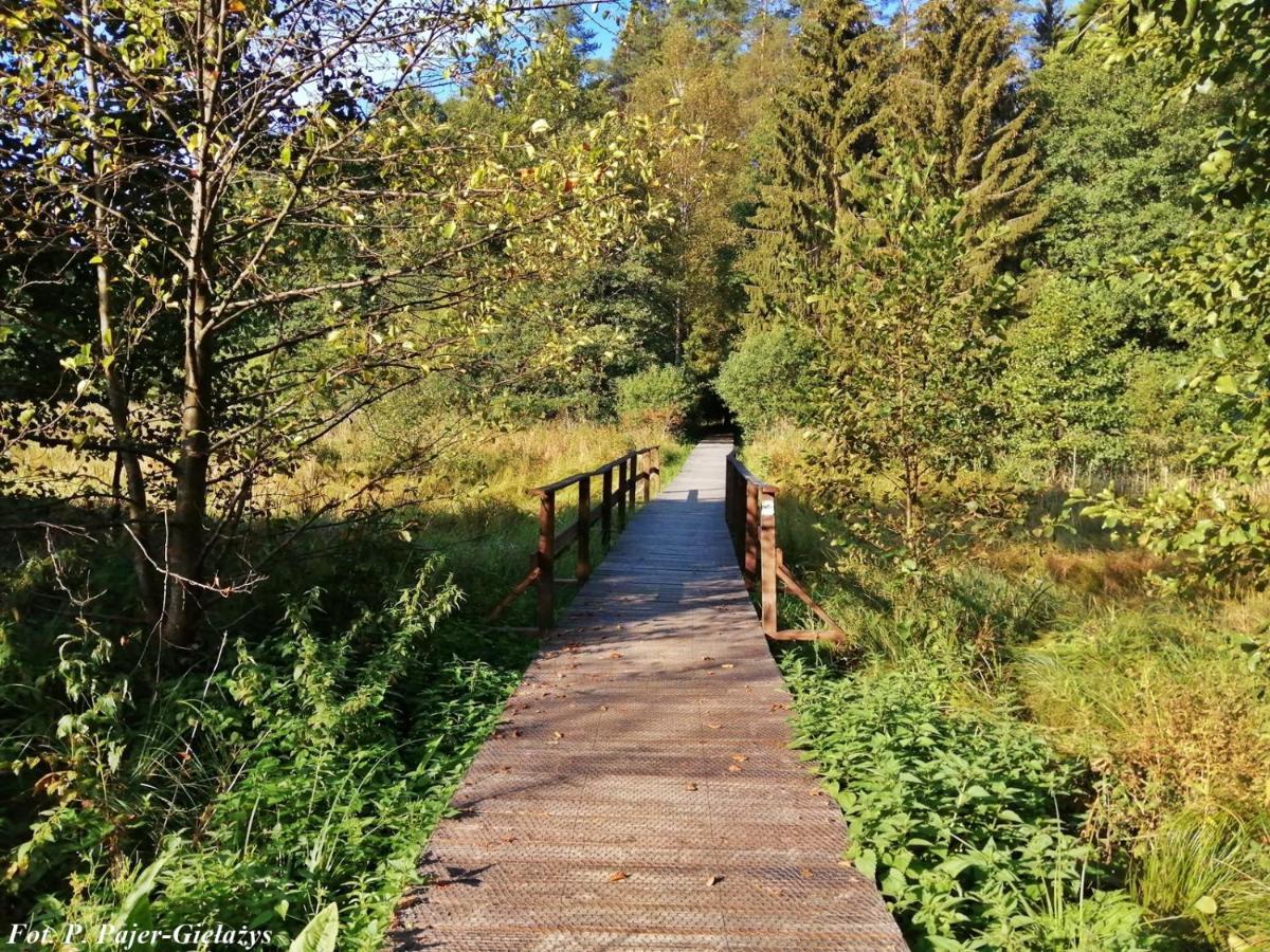 Wigierski Park Narodowy Suwałki Екстериор снимка
